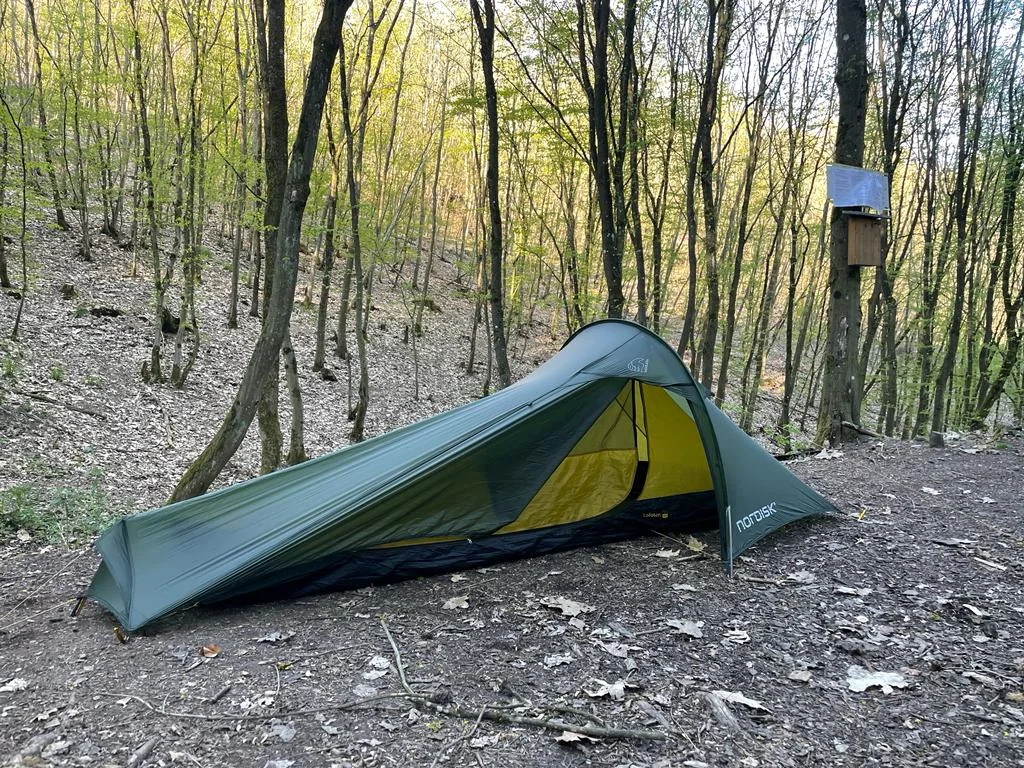 Lightweight tent pitched in a forest camp